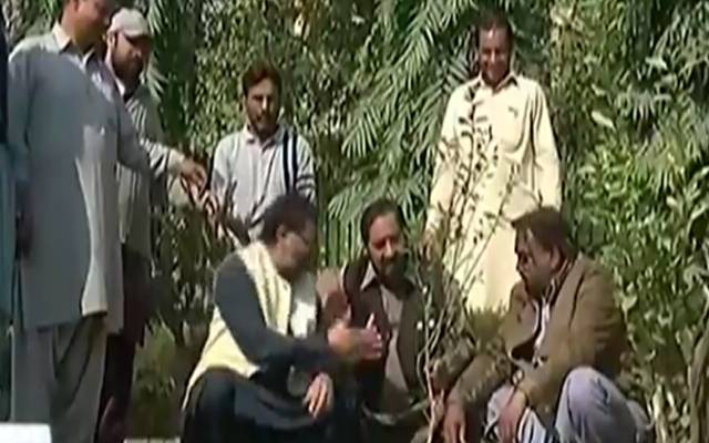 سپیکر میٹرو پولیٹن کارپوریشن میاں طارق نے نذیر سواتی کا چیلنج پورا کردیا