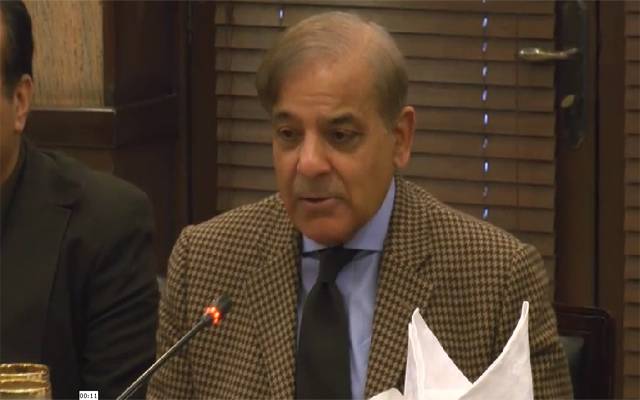 پاکستان اور چین کے دوست، دشمن مشترکہ ہیں: شہباز شریف
