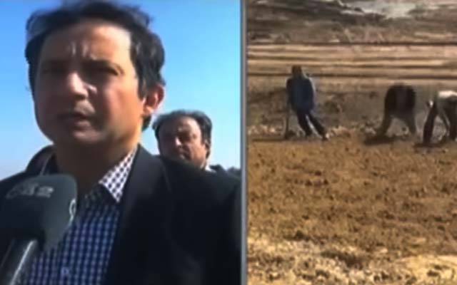 رنگ روڈپر3منی جنگل اورآکسیجن پارکس بھی بنائے جا رہے ہیں:کمشنر لاہور