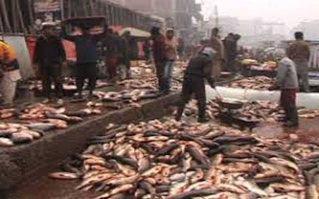 مچھلی منڈی گندگی کا بازار بن گئی، شہری سراپا احتجاج 