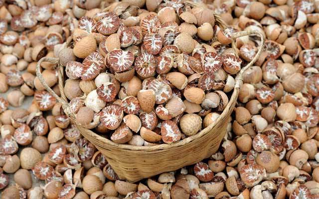 پنجاب فوڈ اتھارٹی سائنٹیفک پینل نے چھالیہ پر پابندی عائد کر دی