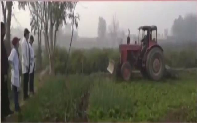 پنجاب فوڈ اتھارٹی کی زہریلے پانی سے اُگنے والی سبزیوں کیخلاف کارروائی