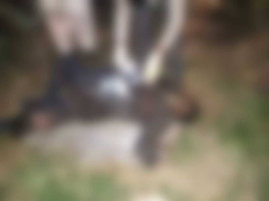  7 بچوں کا باپ قتل ، لاش دریائے راوی سے برآمد