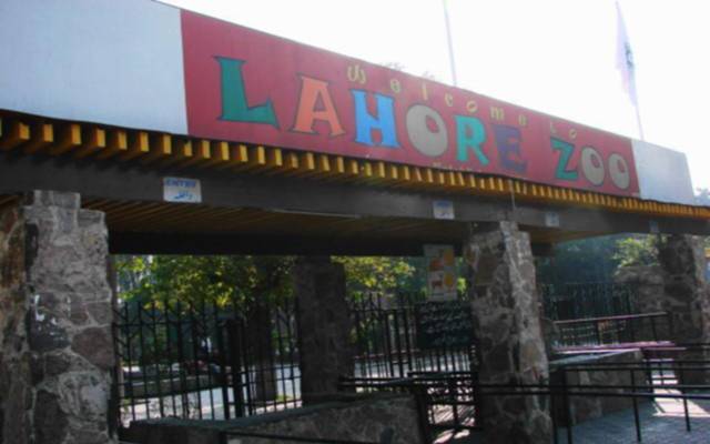 لاہور چڑیا گھر سے ایک اور بُری خبر