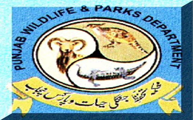 وائلڈلائف پالیسی اور ایکشن پلان کا ڈرافٹ تیار