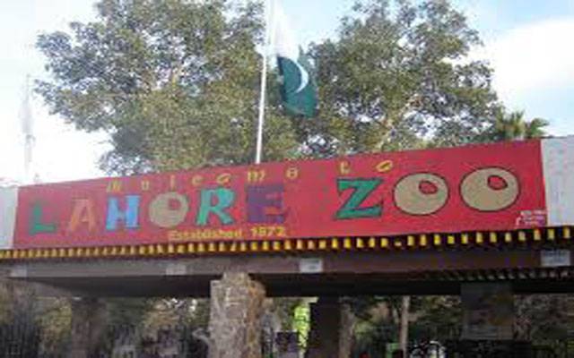 چڑیا گھر میں موجود خطرناک جگہیں سامنے آگئی