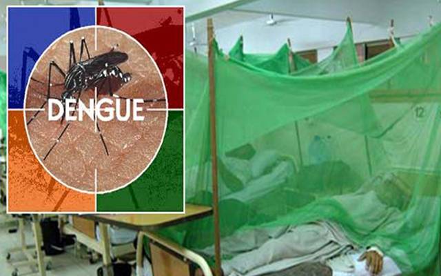 لاہور میں ڈینگی پھر سر اٹھانے لگا، دو افراد میں وائرس کی تصدیق 