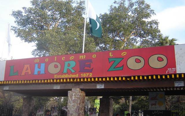 لاہور چڑیا گھر کی فضا میں موت کے سائے منڈلانے لگے