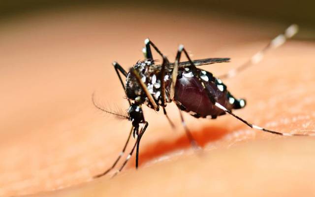 اے سی رائیونڈ کی زیر صدارت ڈینگی لاروا کے حوالے سے اجلاس کا انعقاد