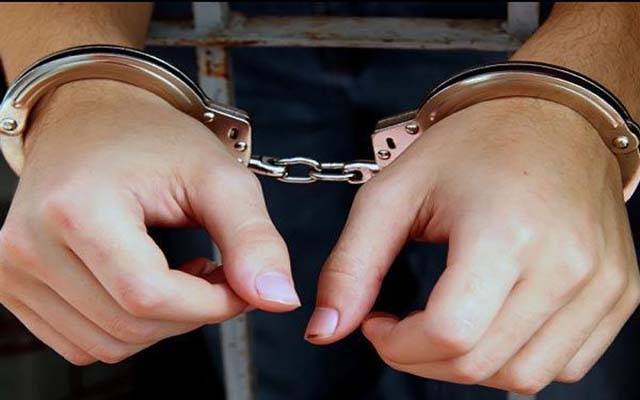 امیگریشن حکام کی کارروائی، یونان سے بے دخل 8 پاکستانی گرفتار