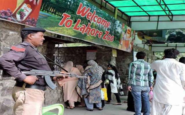 لاہور چڑیا گھر میں ننھے مہمان کی آمد، رونقیں دوبالا ہوگئیں