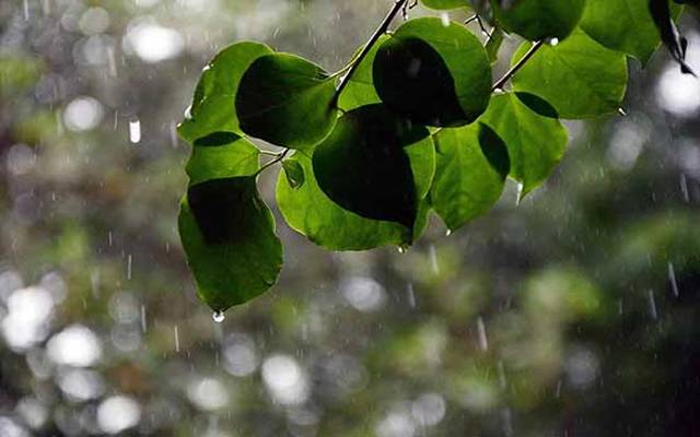 لاہور میں آج بھی مطلع ابر آلود ، بوندا باندی کا امکان