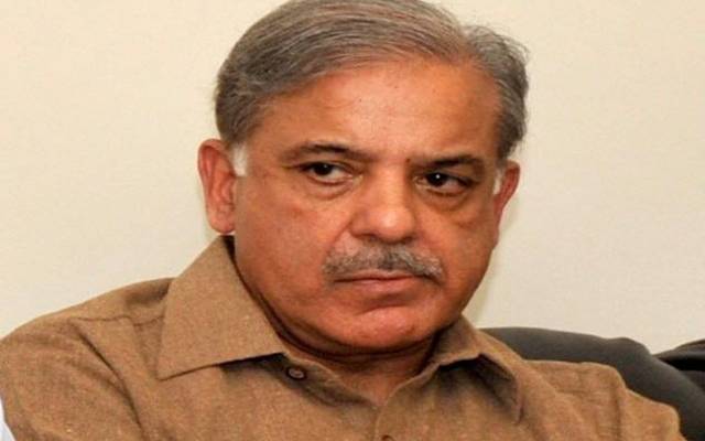 زرداری اور نیازی بھائی بھائی بن چکے ہیں:شہباز شریف
