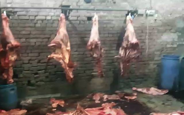 پنجاب فوڈ اتھارٹی کا بکر منڈی میں چھاپہ، 3600 کلو ناقص گوشت برآمد 