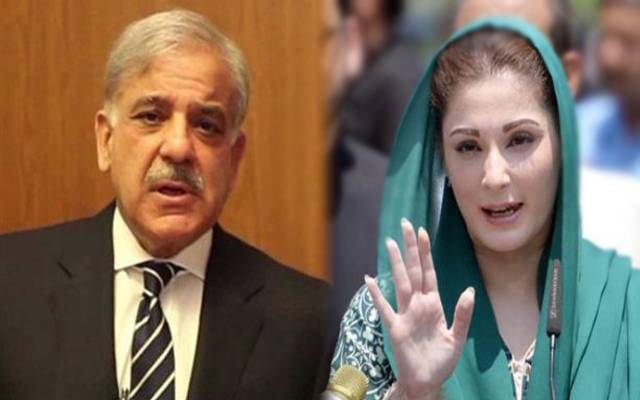 میاں شہبازشریف، مریم نواز نے پارٹی ٹکٹ کیلئے انٹرویوز دے دئیے