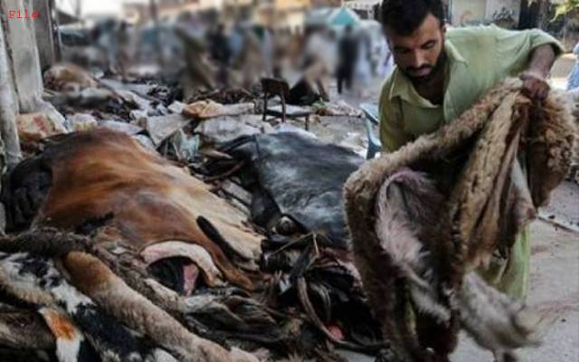 عیدالاضحٰی پر کھالیں جمع کرنیوالے خیراتی اداروں اور تنظیموں کیلئے اہم خبر