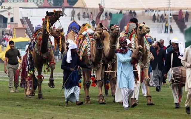 لاہور ہائیکورٹ نے کیٹل شو پر پابندی لگانے کی درخواست مسترد کردی