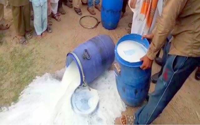 پنجاب فوڈ اتھارٹی ان ایکشن، ہزاروں لیٹرمضر صحت دودھ تلف