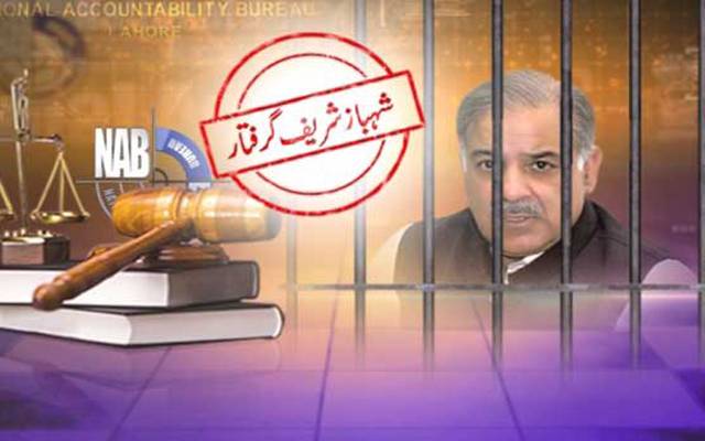 شہباز شریف کو کیوں گرفتار کیا گیا مریم اورنگزیب نے بتا دیا...