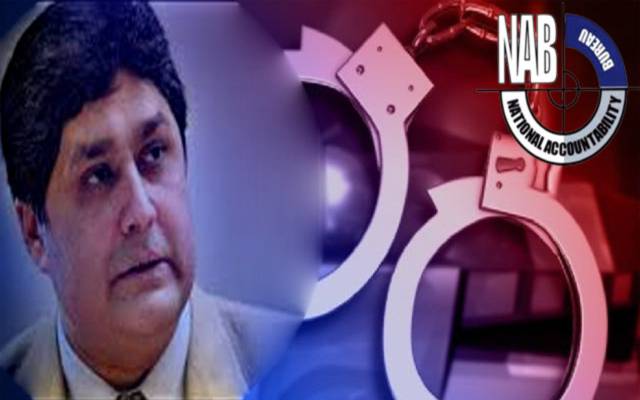 آشیانہ سکینڈل میں فواد حسن فواد کی درخواست ضمانت پر سماعت