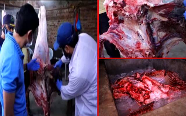 فوڈ اتھارٹی کی بکر منڈی میں کارروائی، 6500 کلو مضرصحت گوشت پکڑ لیا
