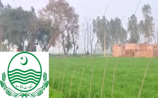 پنجاب گرین ڈویلپمنٹ منصوبے پر مثبت پیشرفت
