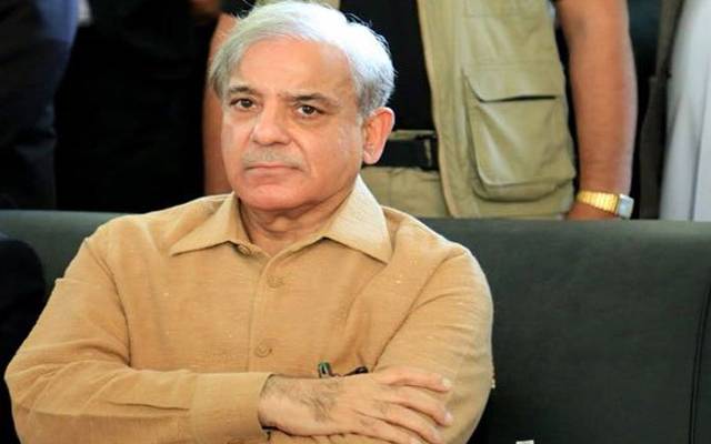 شہباز شریف کی درخواست ضمانت مسترد، نظر ثانی کی اپیل