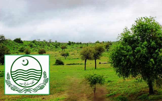 حکومت کا سرسبز وشاداب پنجاب کیلئے اہم اقدام