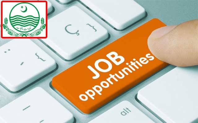 پنجاب حکومت کے بڑے فیصلے، نوکری کے خواہشمند افراد کیلئے خوشخبری