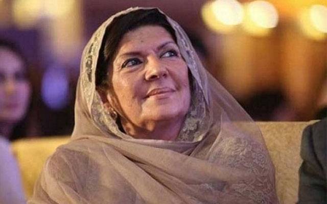 سپریم کورٹ کا علیمہ خان کیخلاف کارروائی کو ریکارڈ کا حصہ بنانے کا حکم