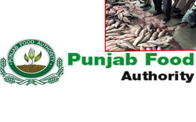 شہر کے 5 فش پوائنٹس کو سیل کردیا گیا