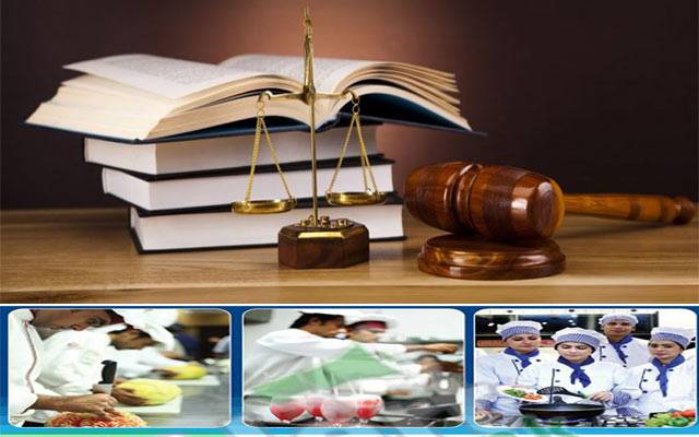 پنجاب سکلز ڈویلپمنٹ اتھارٹی کا قانون تیار