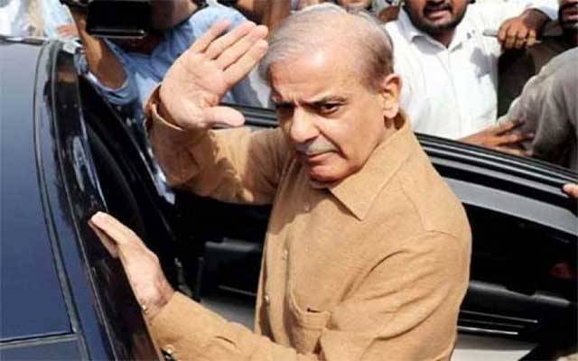 شہباز شریف کی ضمانت منظور 