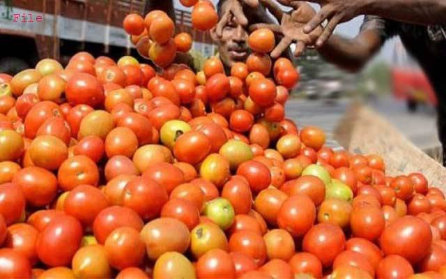 لاہور میں ٹماٹر کی قیمتوں کو آگ لگ گئی