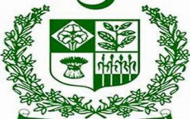 پرویزاخترکوسی ای او ایجوکیشن اتھارٹی بنانے کی سمری وزیراعلیٰ کوارسال