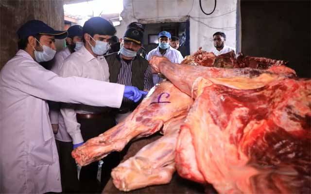 لاہوریئے بیمار جانوروں کا گوشت کھانے سے بچ گئے