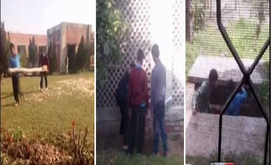 گورنمنٹ اسلامیہ ہائی سکول انتظامیہ نے طلبا کو مزدور بنا دیا