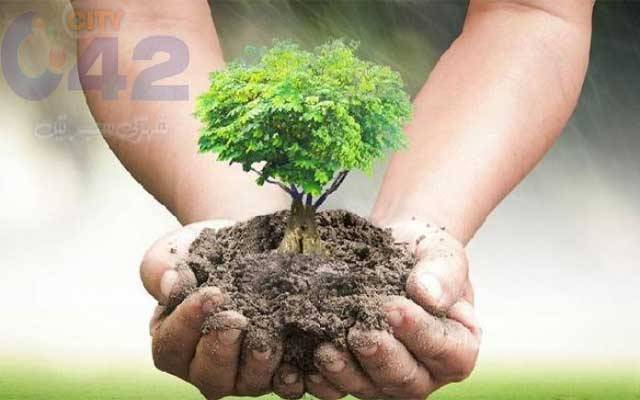  ایک لاہوری، ایک درخت، سٹی 42 کی مہم شروع