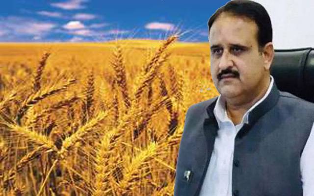 گندم خریداری مراکز پر کاشتکاروں کو مشکلات، وزیر اعلیٰ پنجاب کا بڑا اعلان