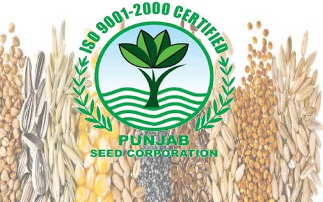 پنجاب سیڈ کارپوریشن پر جعلی ڈگری ملازمین چھا گئے