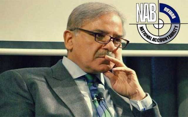 نیب نے شہباز شریف کی جائیدادوں کی خرید و فروخت پر پابندی لگا دی