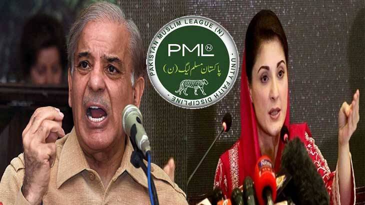 پاکستان مسلم لیگ( ن) نے بڑا اعلان کردیا