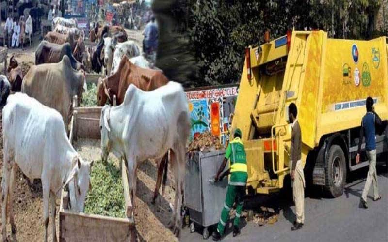 عید الاضحیٰ صفائی پلان، سڑکوں پر عرق گلاب کا سپرے ہوگا