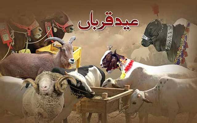 لاہور سمیت ملک بھر میں آج عیدالاضحیٰ منائی جارہی ہے