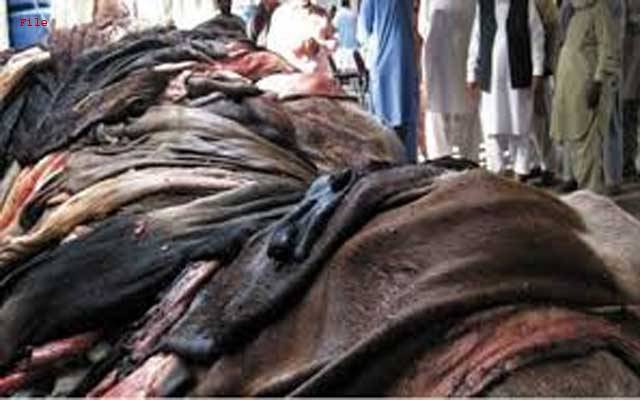 عید پر چمڑا منڈی کے تاجر من مانی قیمتوں پر کھالیں خریدنے لگے