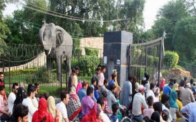 عید پر چڑیا گھر کو کتنی آمدن ہوئی؟ جان کر آپ دنگ رہ جائیں گے