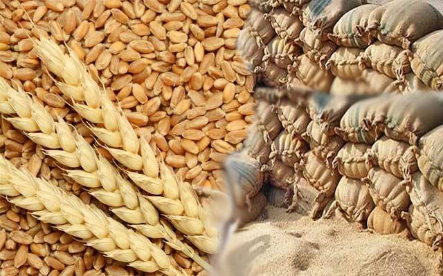  فلور ملز کو سرکاری گندم کے اجراء کا نوٹیفکیشن جاری