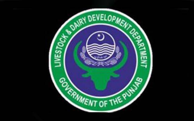ایک سال میں 5 سیکرٹری تبدیل، محکمہ لائیوسٹاک کے امور متاثر