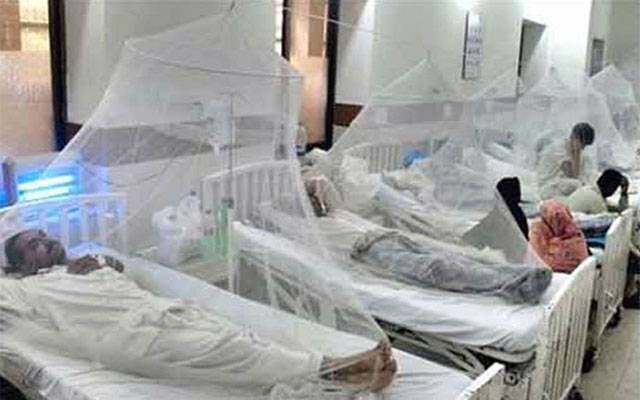 ڈینگی کے سینکڑوں مریضوں کی تشخیص نہ ہونے کا انکشاف
