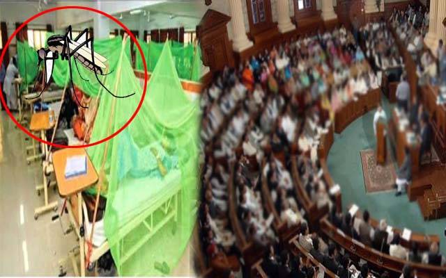 ڈینگی کے مریضوں کی تعداد میں اضافے کیخلاف قرارداد جمع